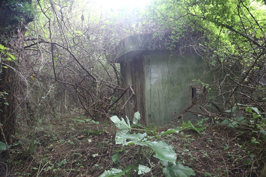 모라이오름 정상부