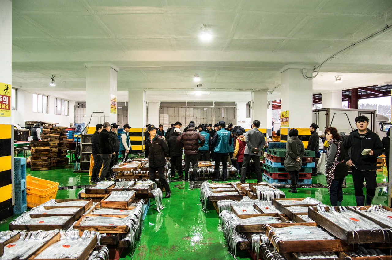 서귀포수협 위판장 모습