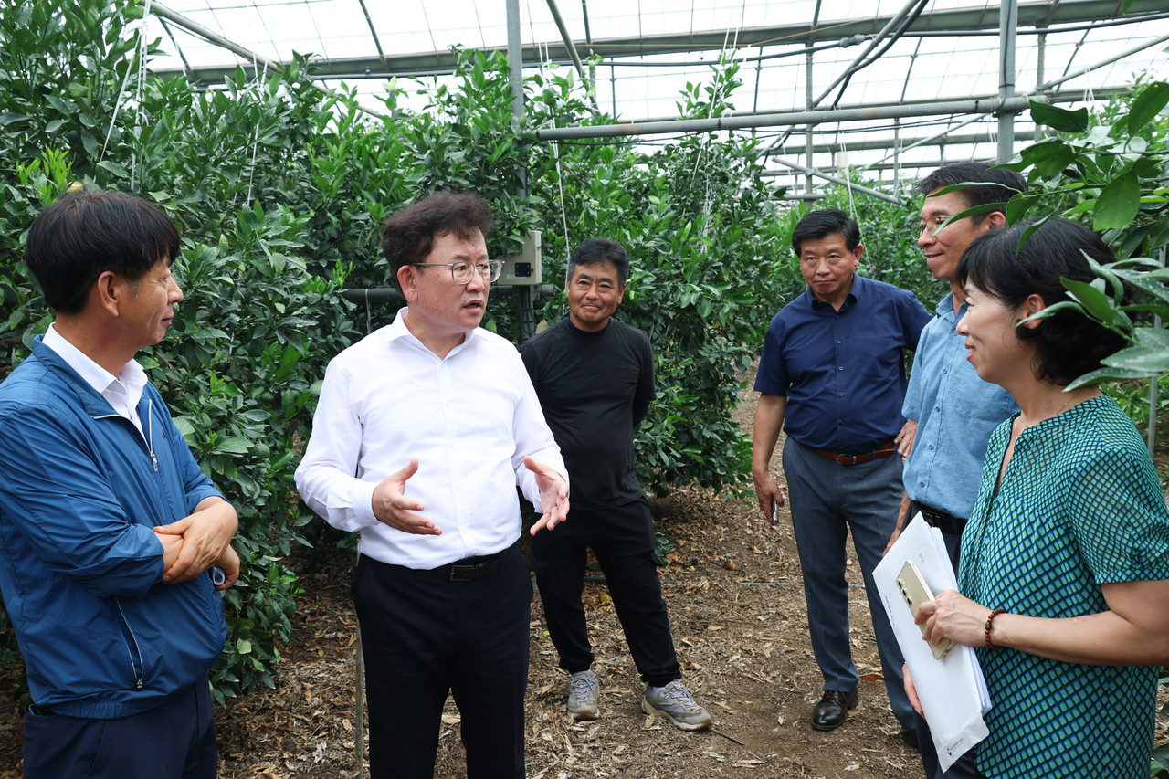 이승돈 농촌진흥청장(사진 왼쪽 두번째)이 지난 4일 제주특별자치도 서귀포시 대정읍 ‘레드향’ 재배 농장을 방문해 재배 상황과 애로사항을 청취하고 안정 재배를 위한 대책 마련을 당부했다.