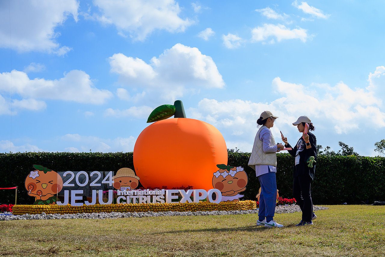 2025 제주감귤박람회가 11월 20일부터 24일까지 서귀포시농업기술센터 일원에서 열린다. 2024감귤박람회 모습. 자료사진
