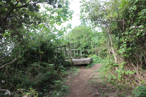 썩은다리 정상부