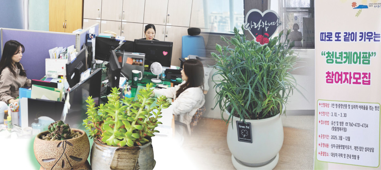 서귀포시 서홍동주민센터에서 김경아 맞춤형복지팀장과 진서연 주무관 등이 업무를 하고 있다. 나머지는‘청년케어팜’사업 안내. 그래픽=최정화