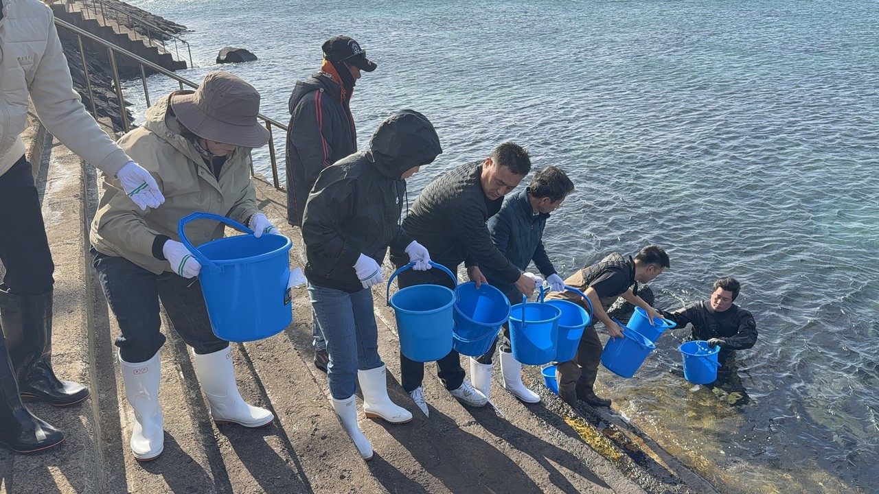 제주특별자치도 해양수산연구원(원장 강봉조)은 17일 다금바리, 구문쟁이, 붉바리 등 바리과 어류 종자 2만여 마리를 제주 연안 자원조성을 위해 방류했다.