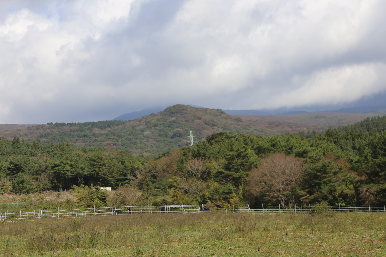 법정이오름 전경